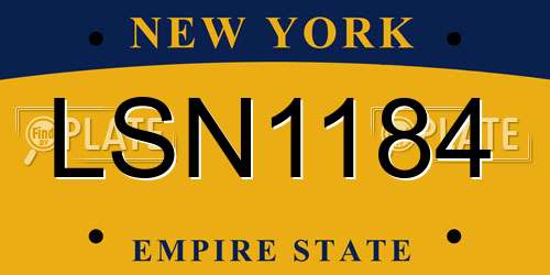 LSN1184 New York License Plate