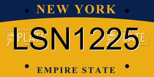 LSN1225 New York License Plate