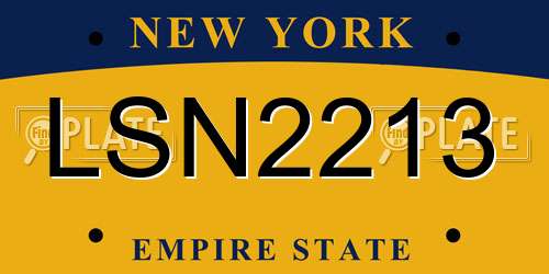 LSN2213 New York License Plate