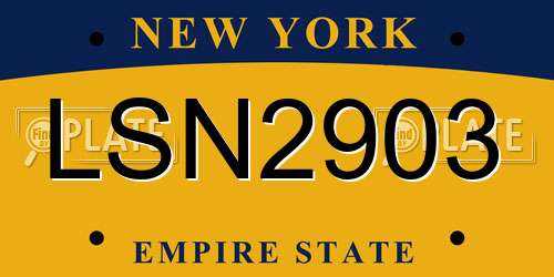 LSN2903 New York License Plate