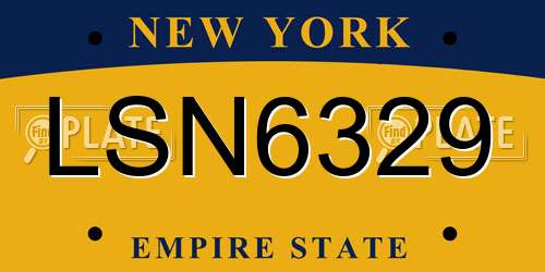 LSN6329 New York License Plate