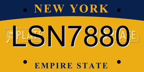 LSN7880 New York License Plate