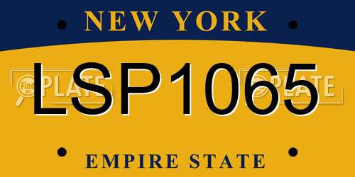 LSP1065 New York License Plate