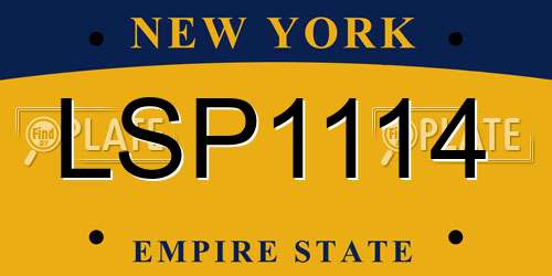 LSP1114 New York License Plate