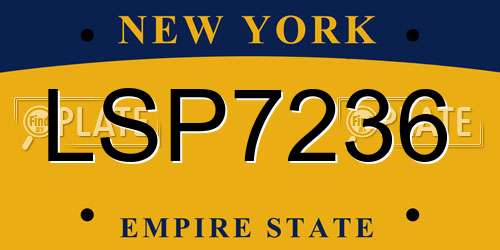 LSP7236 New York License Plate