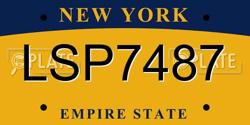 LSP7487 New York License Plate
