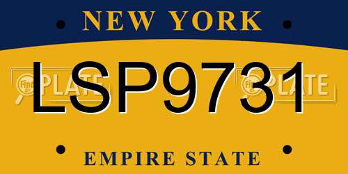 LSP9731 New York License Plate