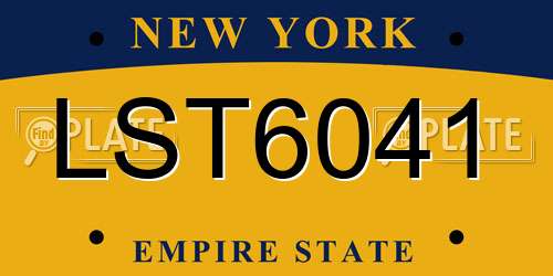 LST6041 New York License Plate