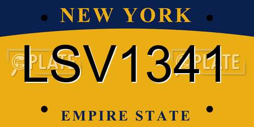 LSV1341 New York License Plate