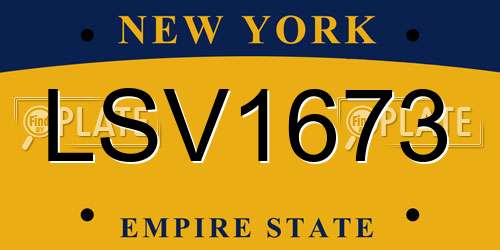 LSV1673 New York License Plate