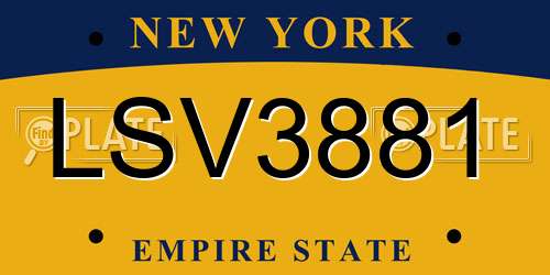 LSV3881 New York License Plate