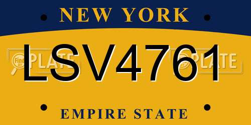 LSV4761 New York License Plate