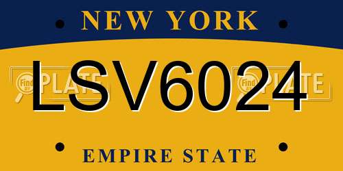LSV6024 New York License Plate