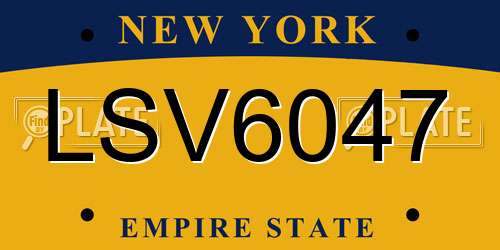 LSV6047 New York License Plate