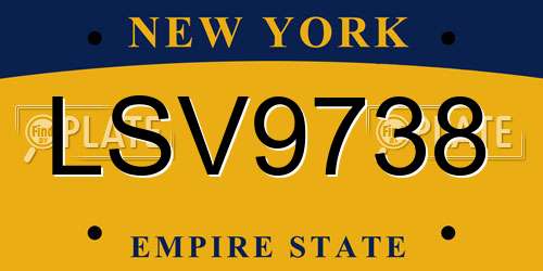 LSV9738 New York License Plate