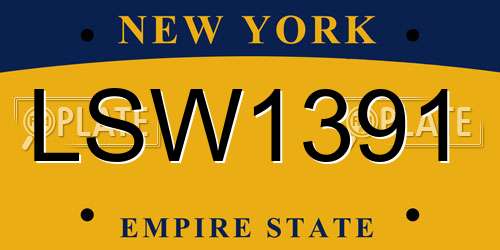 LSW1391 New York License Plate