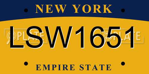LSW1651 New York License Plate