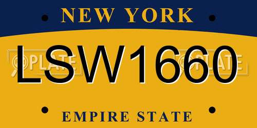 LSW1660 New York License Plate