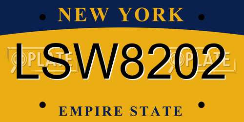 LSW8202 New York License Plate