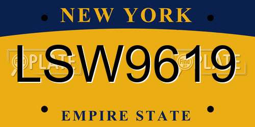 LSW9619 New York License Plate