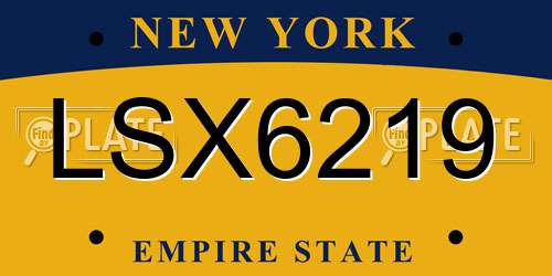 LSX6219 New York License Plate