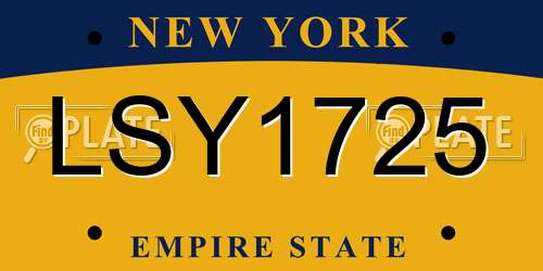 LSY1725 New York License Plate