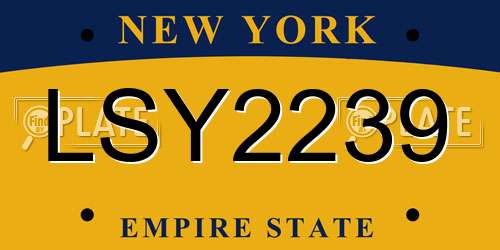 LSY2239 New York License Plate