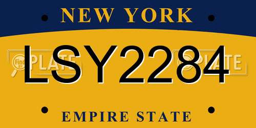 LSY2284 New York License Plate