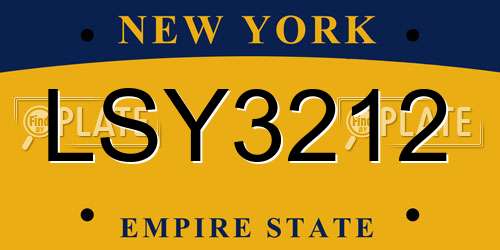 LSY3212 New York License Plate