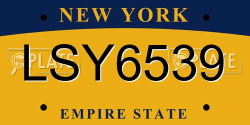LSY6539 New York License Plate