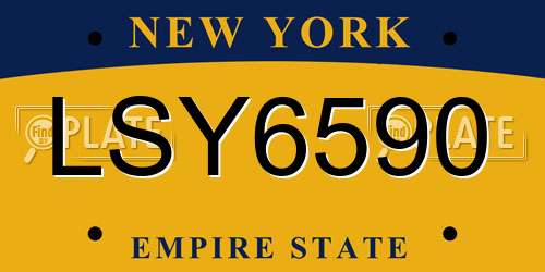 LSY6590 New York License Plate