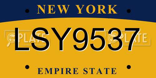 LSY9537 New York License Plate