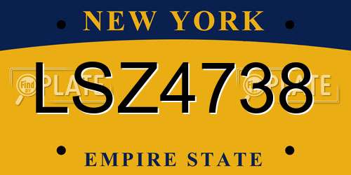 LSZ4738 New York License Plate