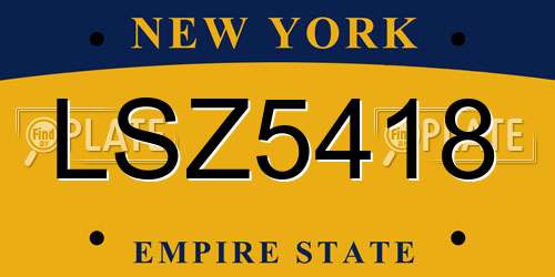 LSZ5418 New York License Plate