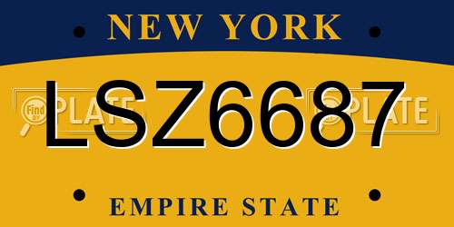 LSZ6687 New York License Plate