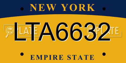 LTA6632 New York License Plate