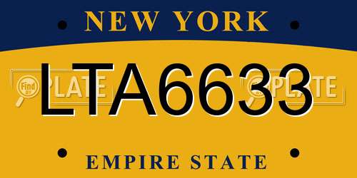 LTA6633 New York License Plate