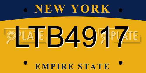 LTB4917 New York License Plate