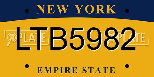 LTB5982 New York License Plate
