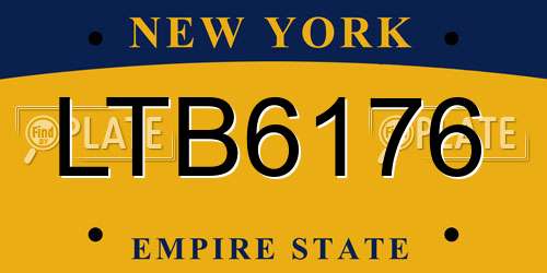 LTB6176 New York License Plate