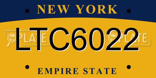 LTC6022 New York License Plate