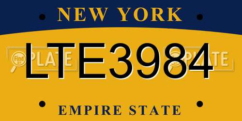 LTE3984 New York License Plate