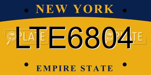 LTE6804 New York License Plate