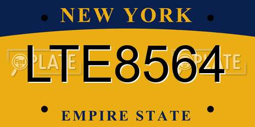 LTE8564 New York License Plate