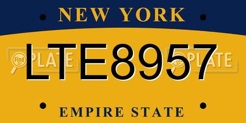 LTE8957 New York License Plate