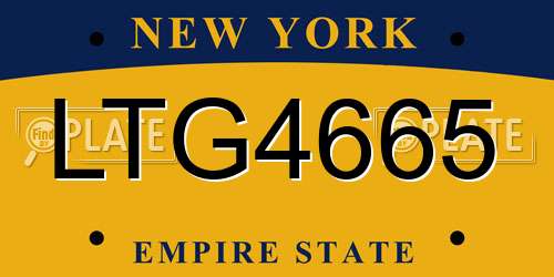 LTG4665 New York License Plate