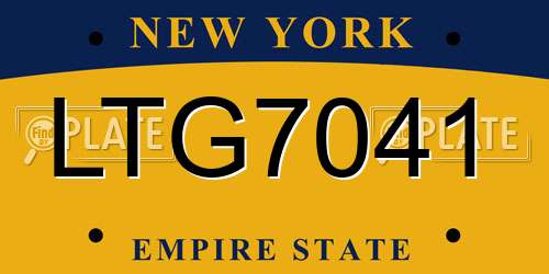 LTG7041 New York License Plate