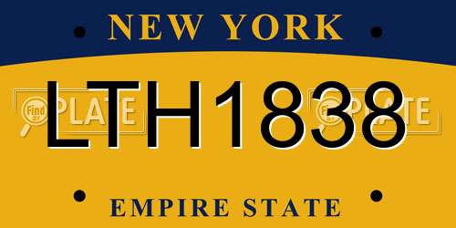 LTH1838 New York License Plate
