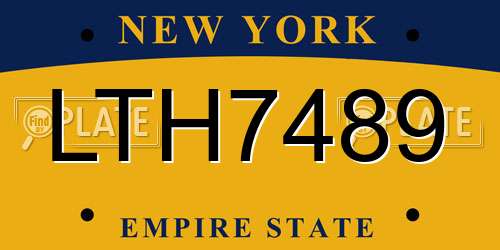 LTH7489 New York License Plate