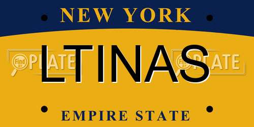 LTINAS New York License Plate